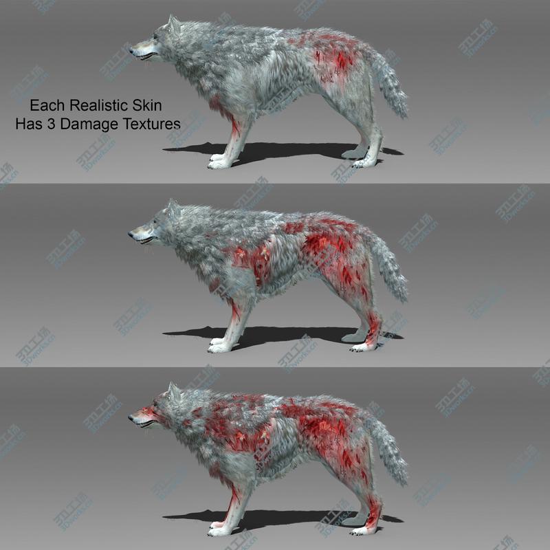images/goods_img/202105074/Wolf Animated/3.jpg